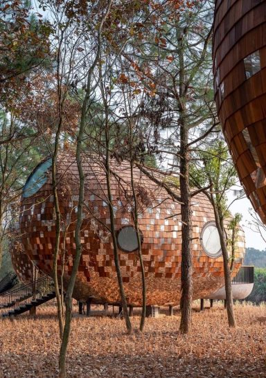 The Seeds Hostel