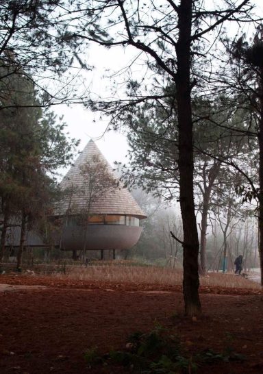 The Mushroom