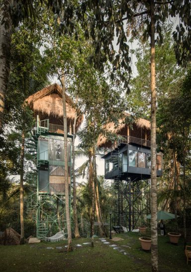 In the jungle
