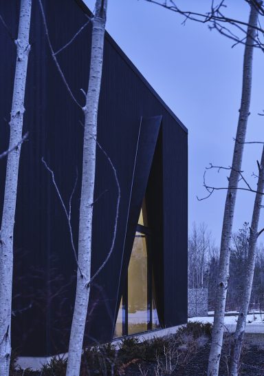 Feline Chalet