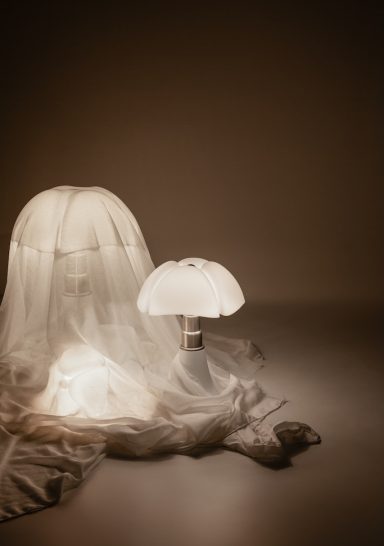 Pipistrello in bianco