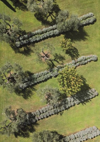 Tra giardino e paesaggio