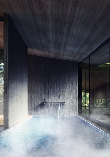 Forest Within