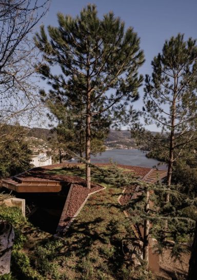 Douro Wood House