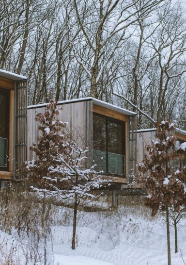 Piaule Catskill