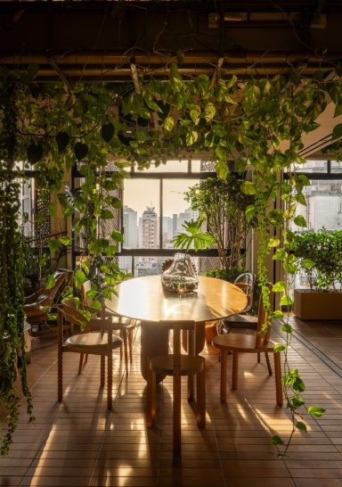 Terrace Apartment