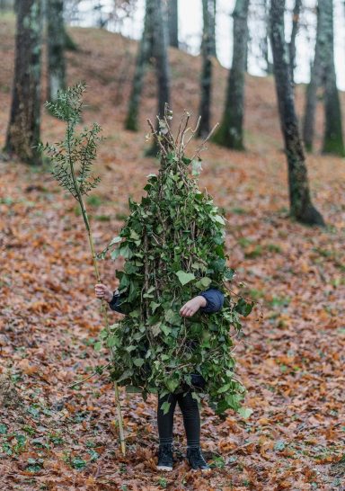 Designing with Nature