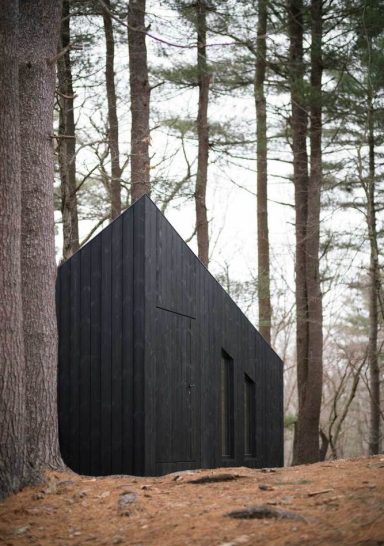 Koto Niwa Cabin