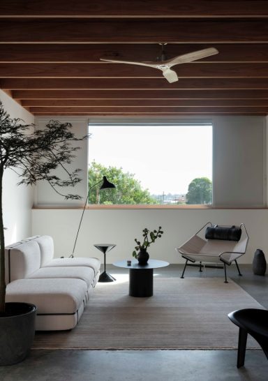 Shed House