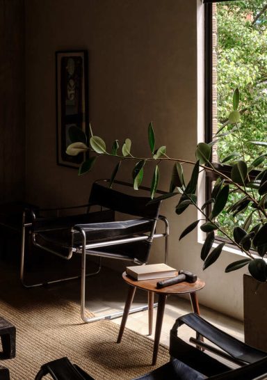 Forest Apartment