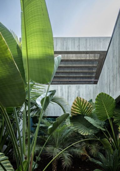 CASA COLINAS