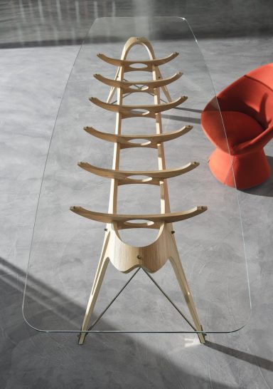 Vertebra by Carlo Mollino