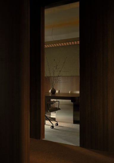 Jungle’s New Headquarter