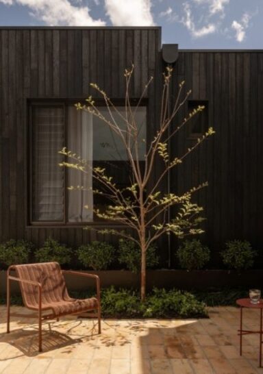 Shou Sugi Ban House