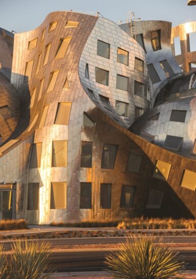Le finestre di Frank Gehry